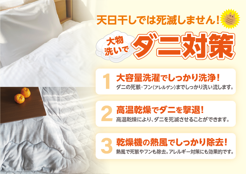 大物洗いでダニ対策